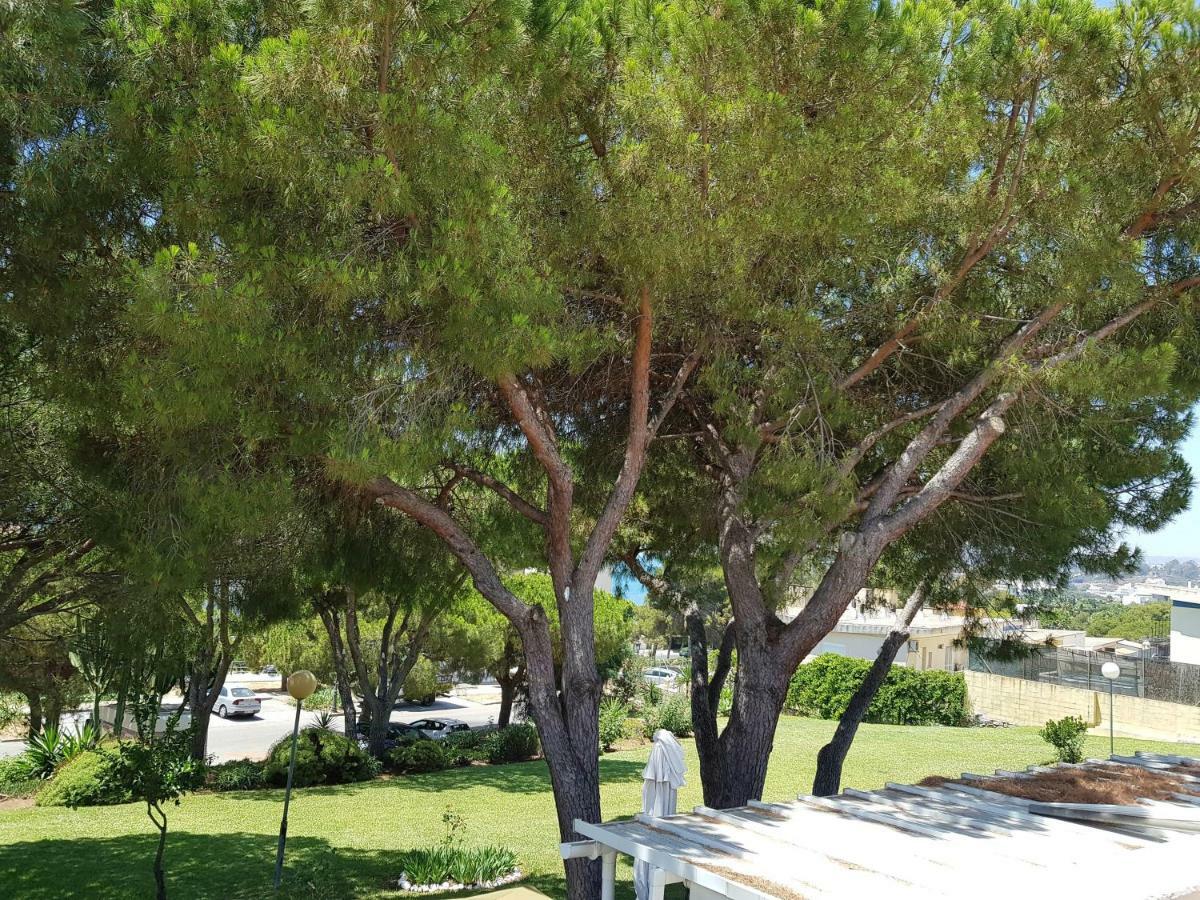 Lugar De La Luz Appartement Estepona Buitenkant foto
